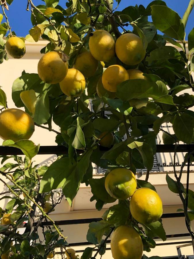 Il Giardino Di Nonno Agostino Bed and Breakfast Castellammare di Stabia Exteriör bild