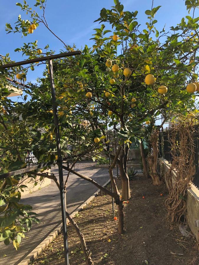 Il Giardino Di Nonno Agostino Bed and Breakfast Castellammare di Stabia Exteriör bild